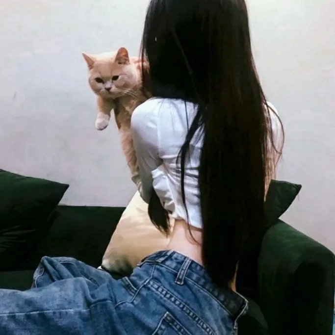 天才少女福尔摩斯